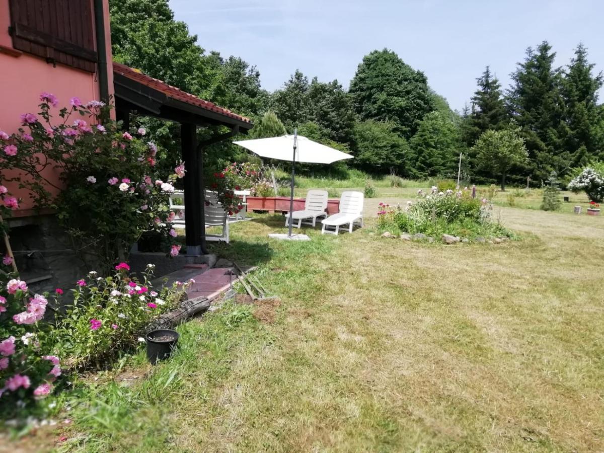 Il Pettirosso Di Giusvalla Bagian luar foto