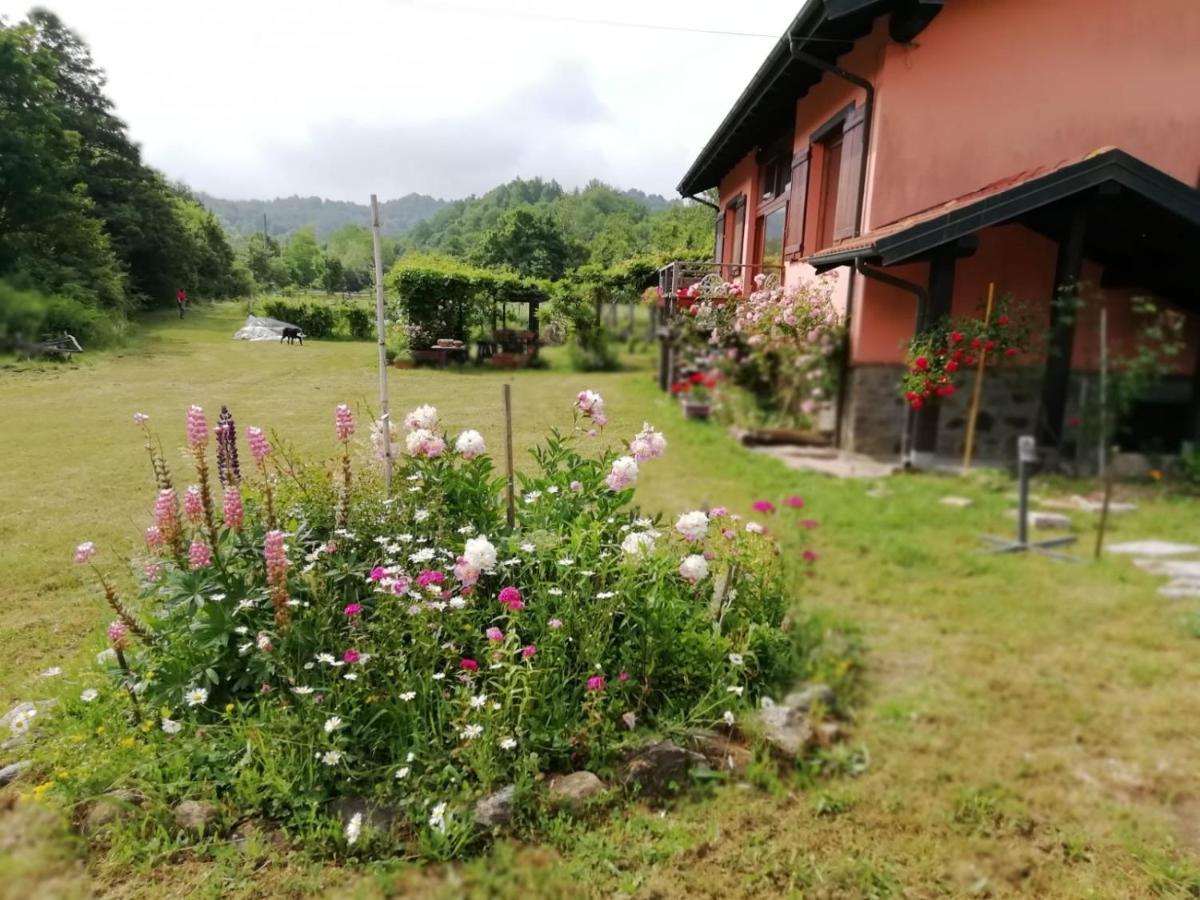 Il Pettirosso Di Giusvalla Bagian luar foto